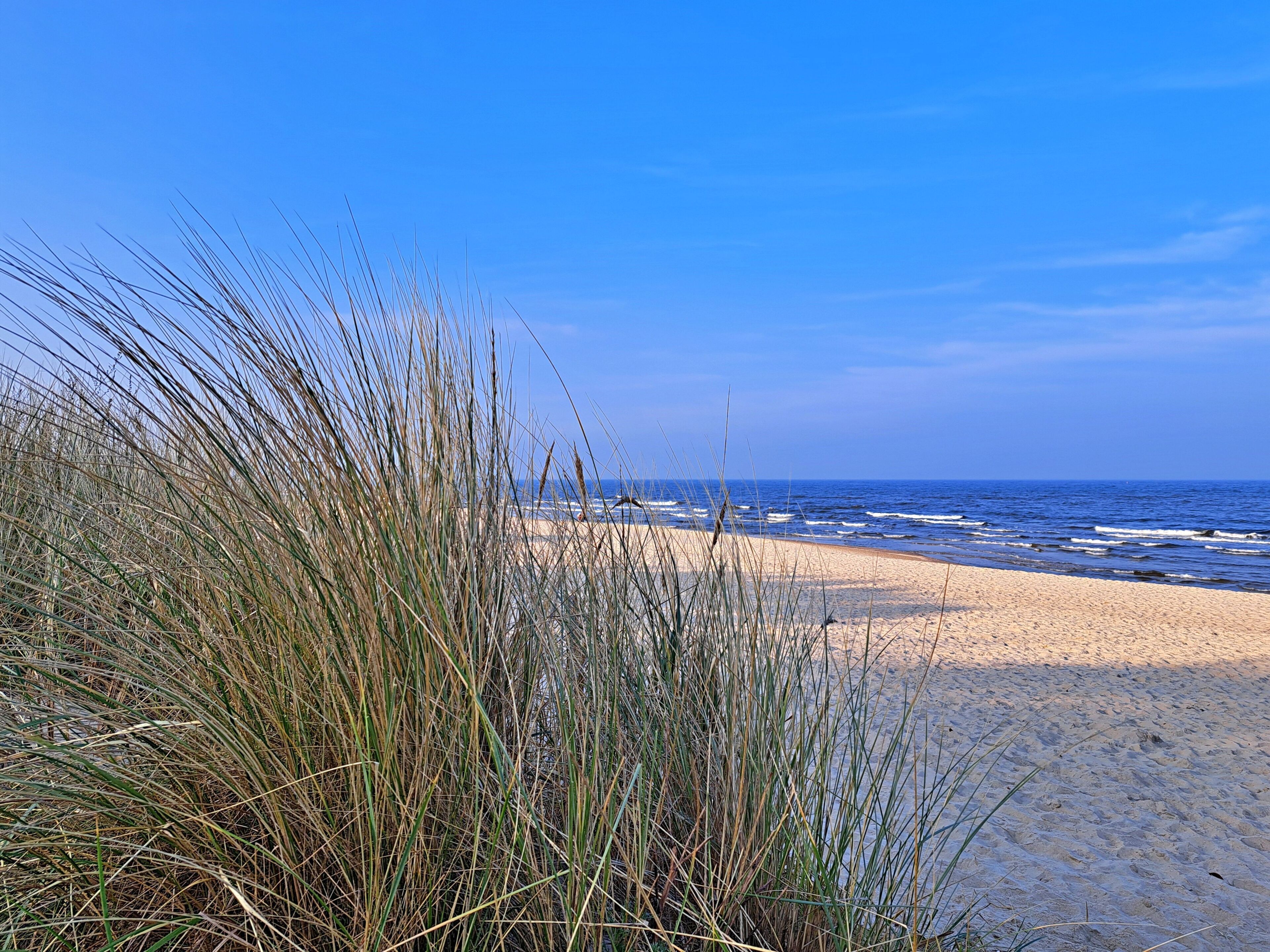 A beach with sand, grass, and the ocean.