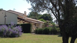 A house with a tiled roof, a garden with lavender bushes, and a stone wall.