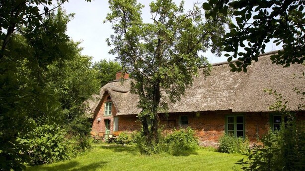 A traditional thatched-roof house surrounded by lush greenery. - Urlaub in der Zauberhaft Renovierten Krümelkate (Witzwort)