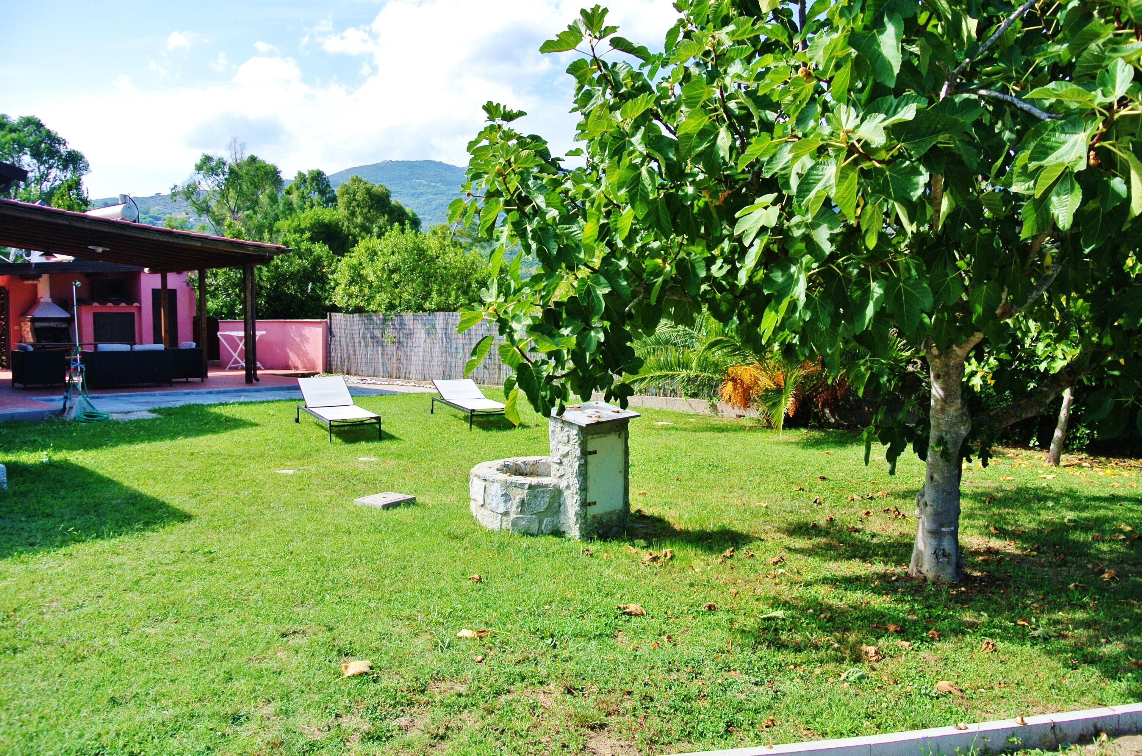 Parco della struttura
