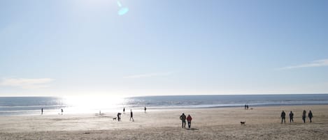 Vlak bij het strand