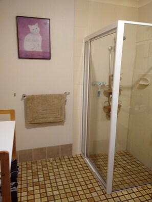 Bathtub, hair dryer, towels, soap