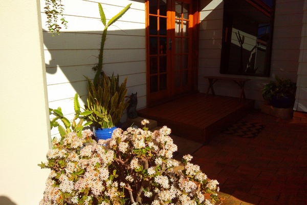 Welcome to Me Mates Studio. A very peaceful place to enjoy.