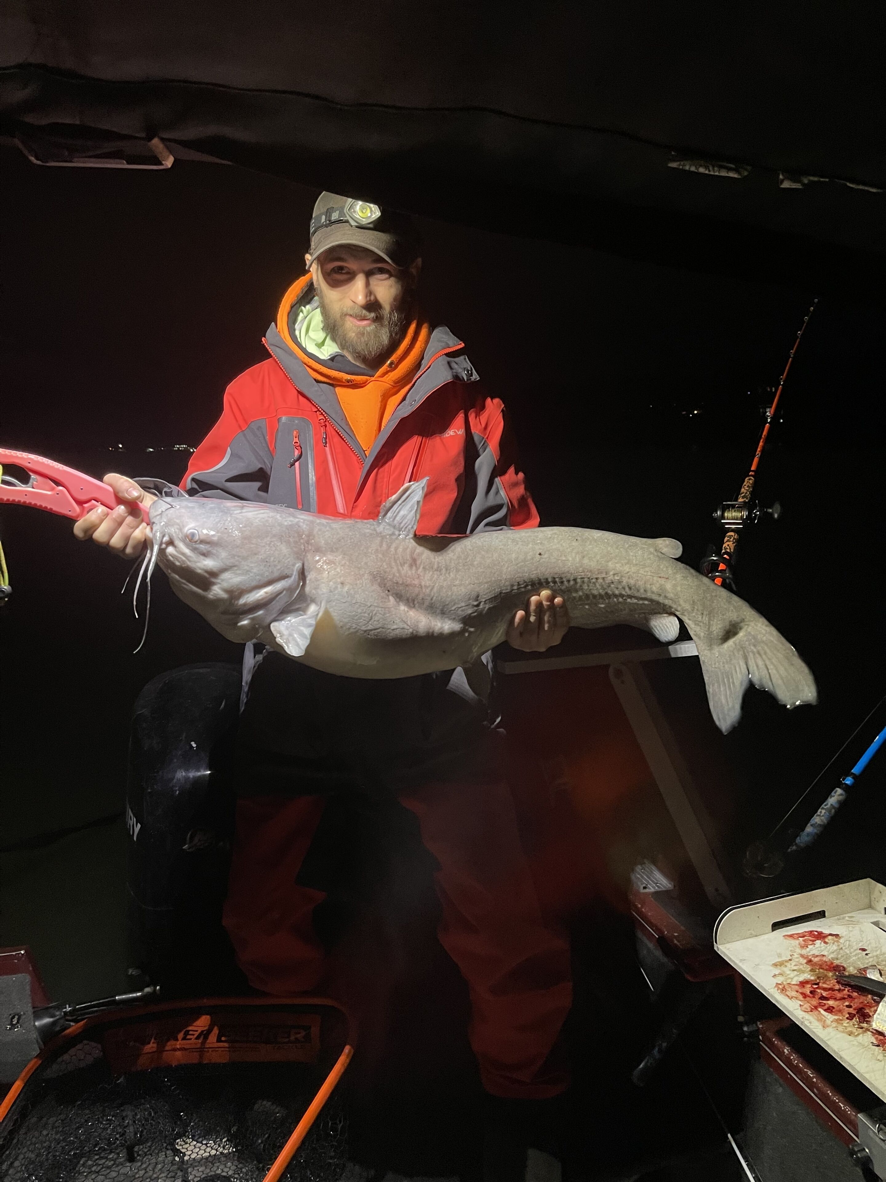 Une personne tenant un gros poisson, portant une veste rouge et une casquette munie d’une lampe.