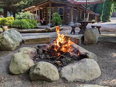 Cozy Log Cabin in peaceful wooded surroundings