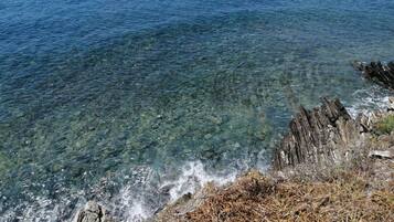 在海灘附近、躺椅