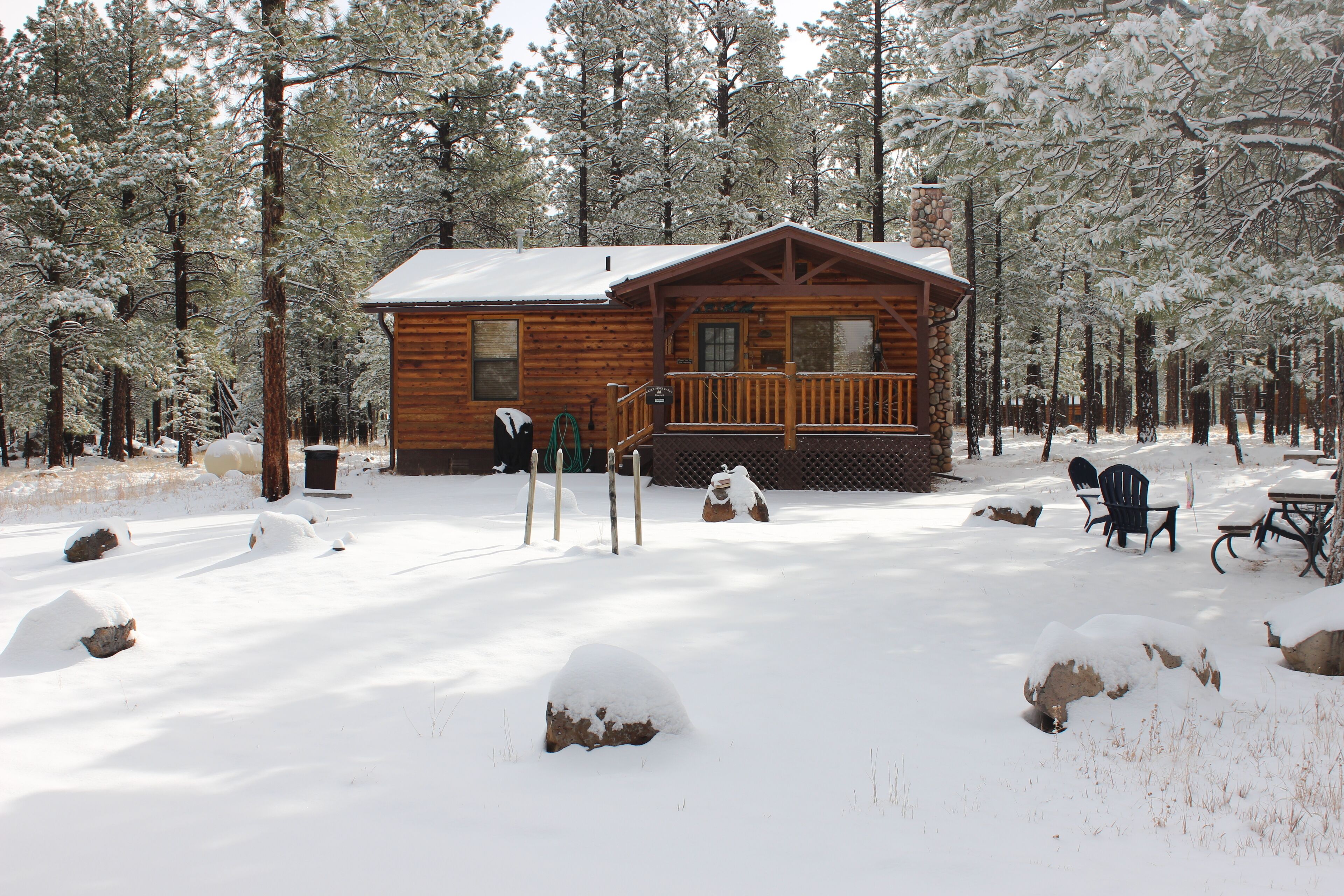 Greer Pines Cabin   Secluded Cabin on an Acre