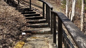 A wooden staircase leading up to a building surrounded by birch trees.