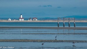 Eine Küstenlandschaft mit einem Leuchtturm, einem kleinen Haus und Holzstegen, die sich ins Wasser erstrecken.