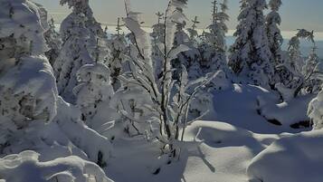 Apartment (Ferienwohnung im Haus Christine) | Außenbereich