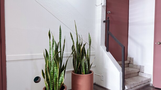 A staircase with a handrail and a door with a red frame. - Private House with 8 Bedrooms: Sleeps 16 | Across from Jalisco Stadium. (Independencia)