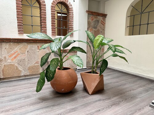 Casa Hotel Estadio. ¡Guadalajara Zona centro!