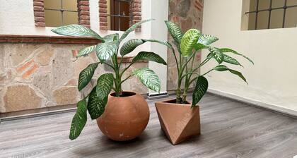 Casa Hotel Estadio. ¡Guadalajara Zona centro!