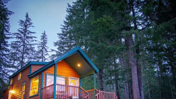 A cabin with a porch, surrounded by tall trees.