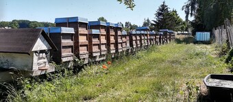 Urlaub auf dem Bauernhof - Mecklenburgische Seenplatte