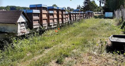 Urlaub auf dem Bauernhof - Mecklenburgische Seenplatte