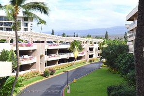 Property grounds - Comfortable Maui Banyan Condo Walking Distance to the Beach (Kihei)