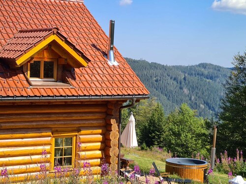 Luxury holiday home No. 3 top location on the Feldberg sauna outdoor hot tub fireplace