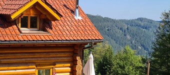 Luxury holiday home No. 3 top location on the Feldberg sauna outdoor hot tub fireplace