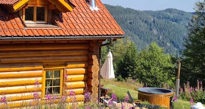 Luxury holiday home No. 3 top location on the Feldberg sauna outdoor hot tub fireplace