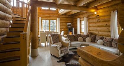 Luxury holiday home No. 3 top location on the Feldberg sauna outdoor hot tub fireplace
