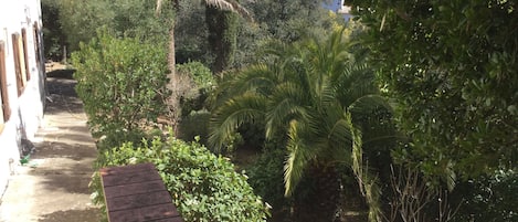Parco della struttura