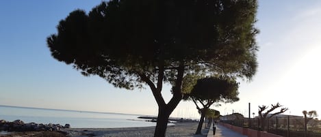 Tæt på stranden