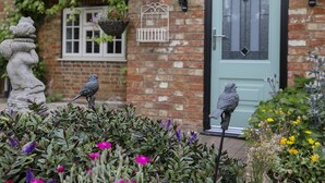 Una casa de ladrillo con una puerta verde, una ventana con marco blanco y una estatua de pájaro en el jardín.