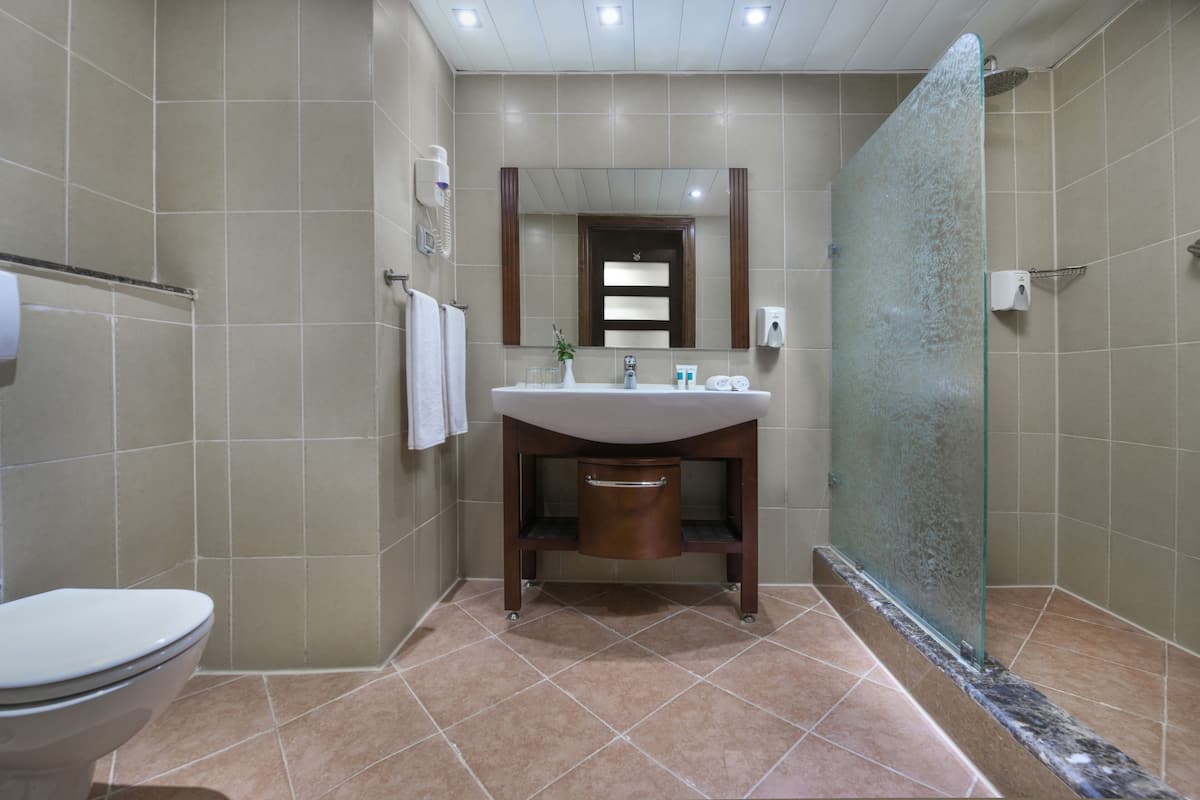 Shower, free toiletries, hair dryer, towels