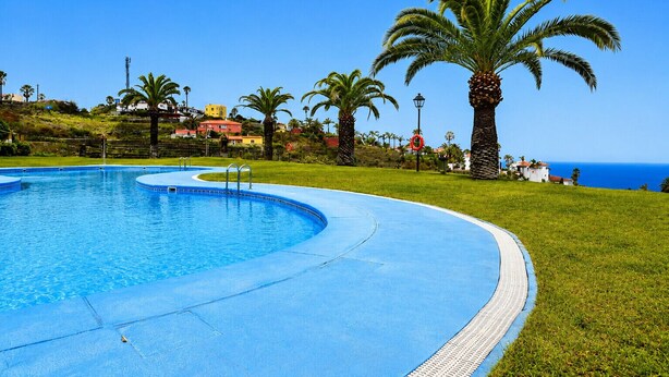 Una piscina curvada con borde azul, rodeada de césped y palmeras, con cielo despejado y edificios al fondo.