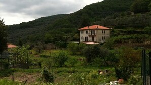 Una casa de dues plantes amb teulada vermella, envoltada de vegetació i turons.