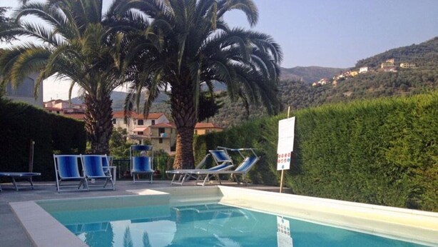 Una piscina amb gandules i palmeres.