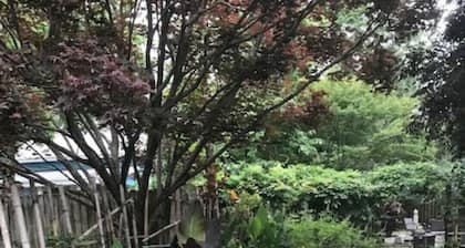 Lavender Guesthouse - A Private Oasis Downtown.
