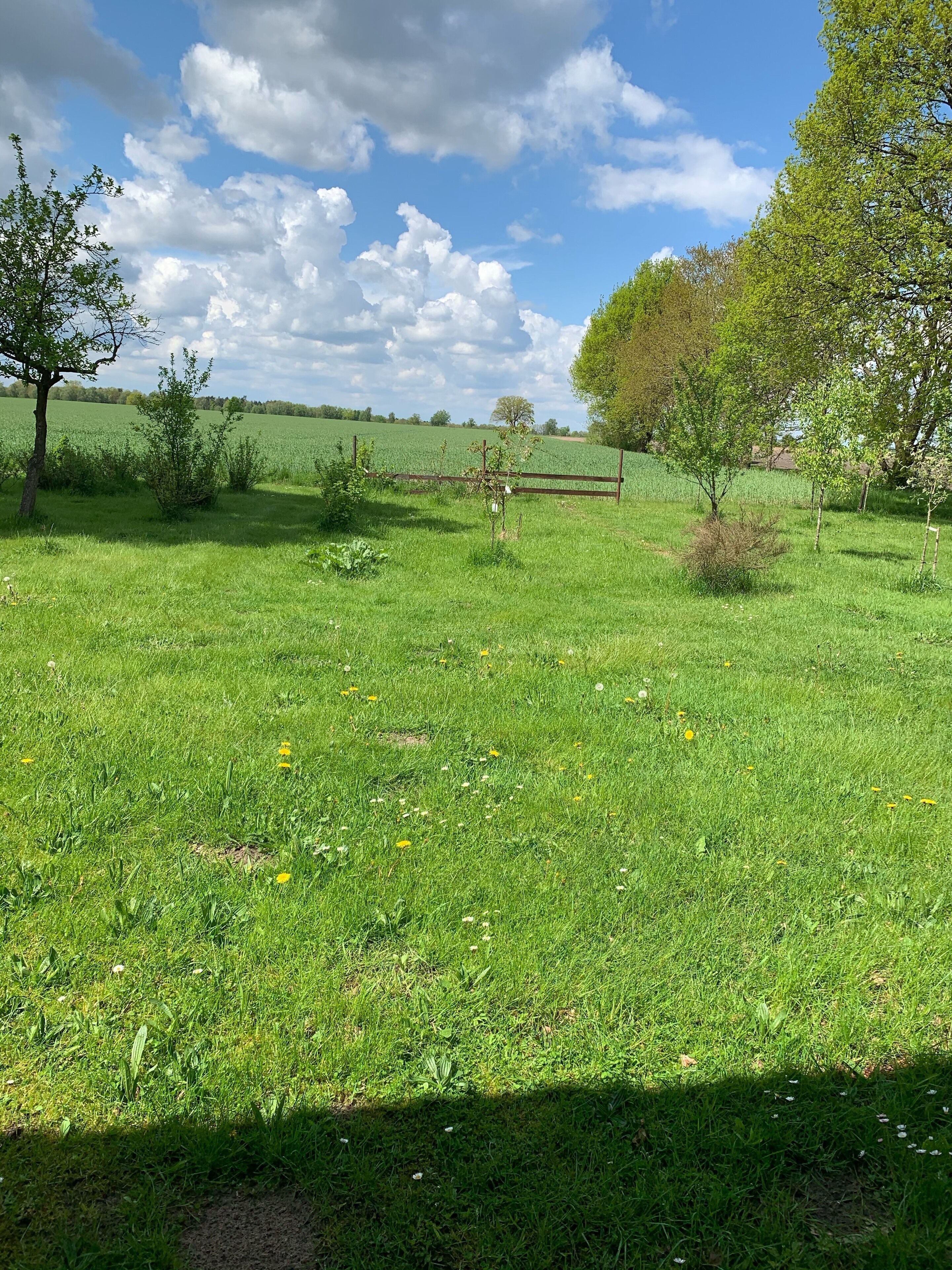 Un champ verdoyant, avec une clôture en bois, des arbres et un ciel dégagé.