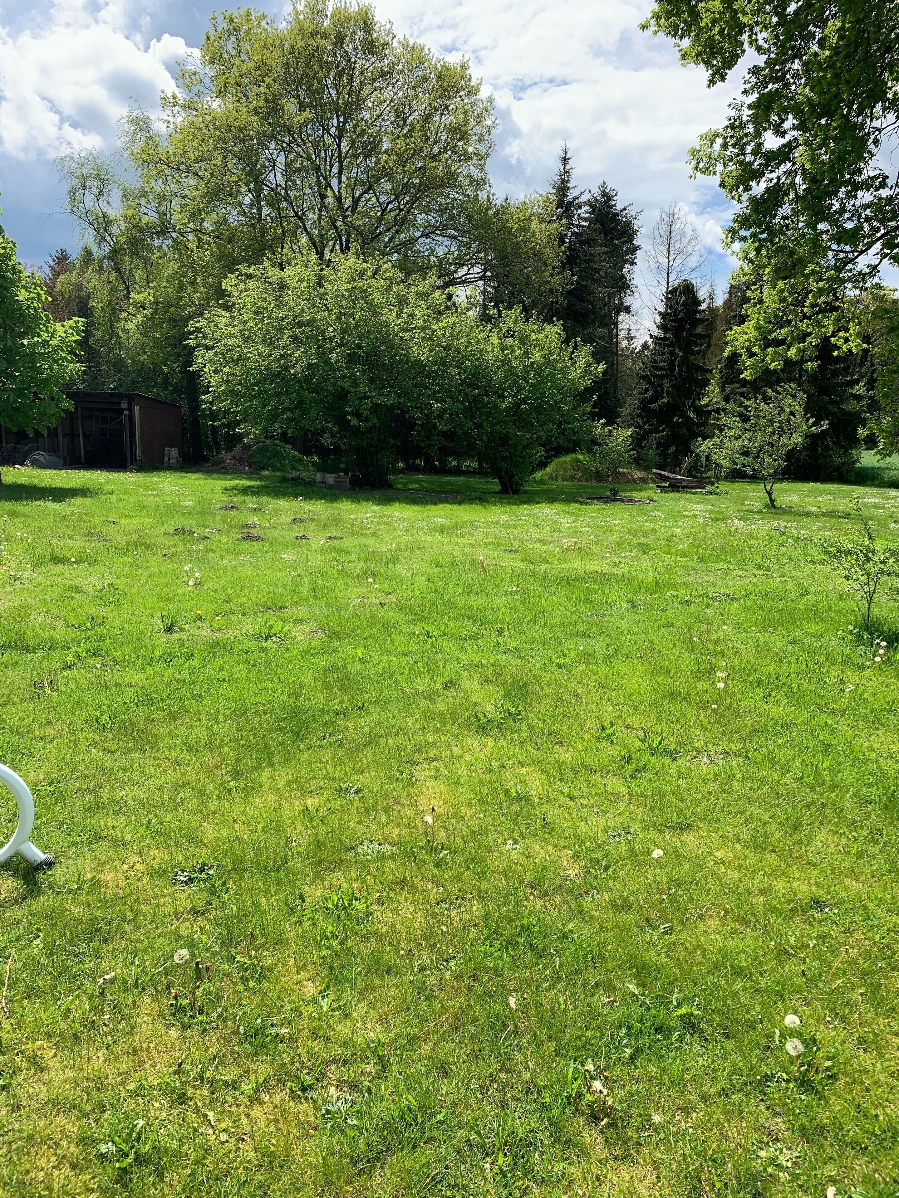 A grassy outdoor area with trees and a small structure.