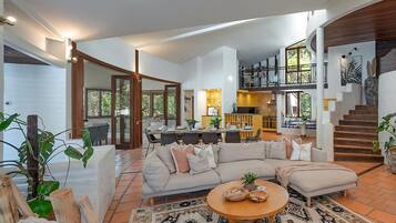 Tv, pejs, Netflix, dvd-afspiller