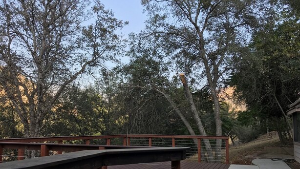 Une terrasse en bois avec une rambarde en métal, donnant sur une étendue d’eau et entourée d’arbres.