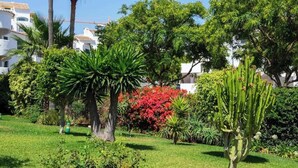 Un jardín bien cuidado con diversas plantas y un cactus.
