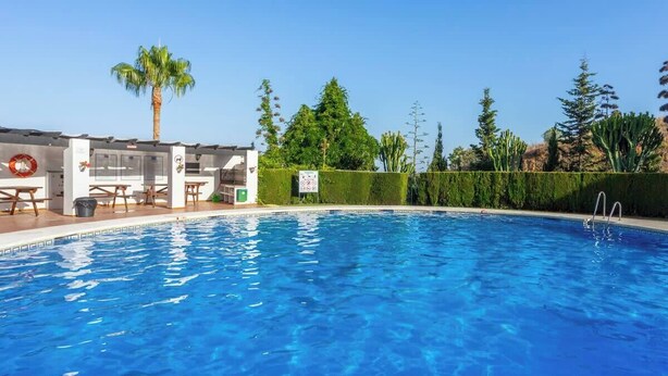 Una piscina con agua cristalina azul, rodeada por un seto, una palmera y un edificio con terraza.