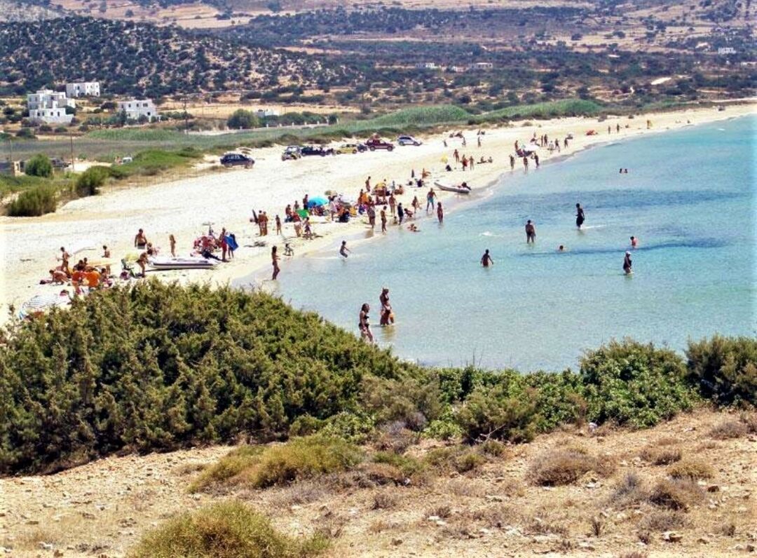 Ein Strand mit badenden und sonnenden Menschen, umgeben von Grünpflanzen und Gebäuden im Hintergrund.