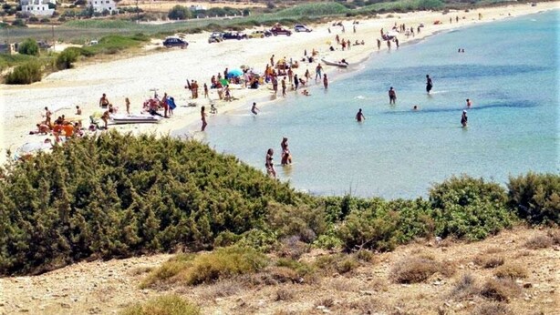 Een strand met mensen die zwemmen en zonnebaden, omringd door groen en gebouwen op de achtergrond.