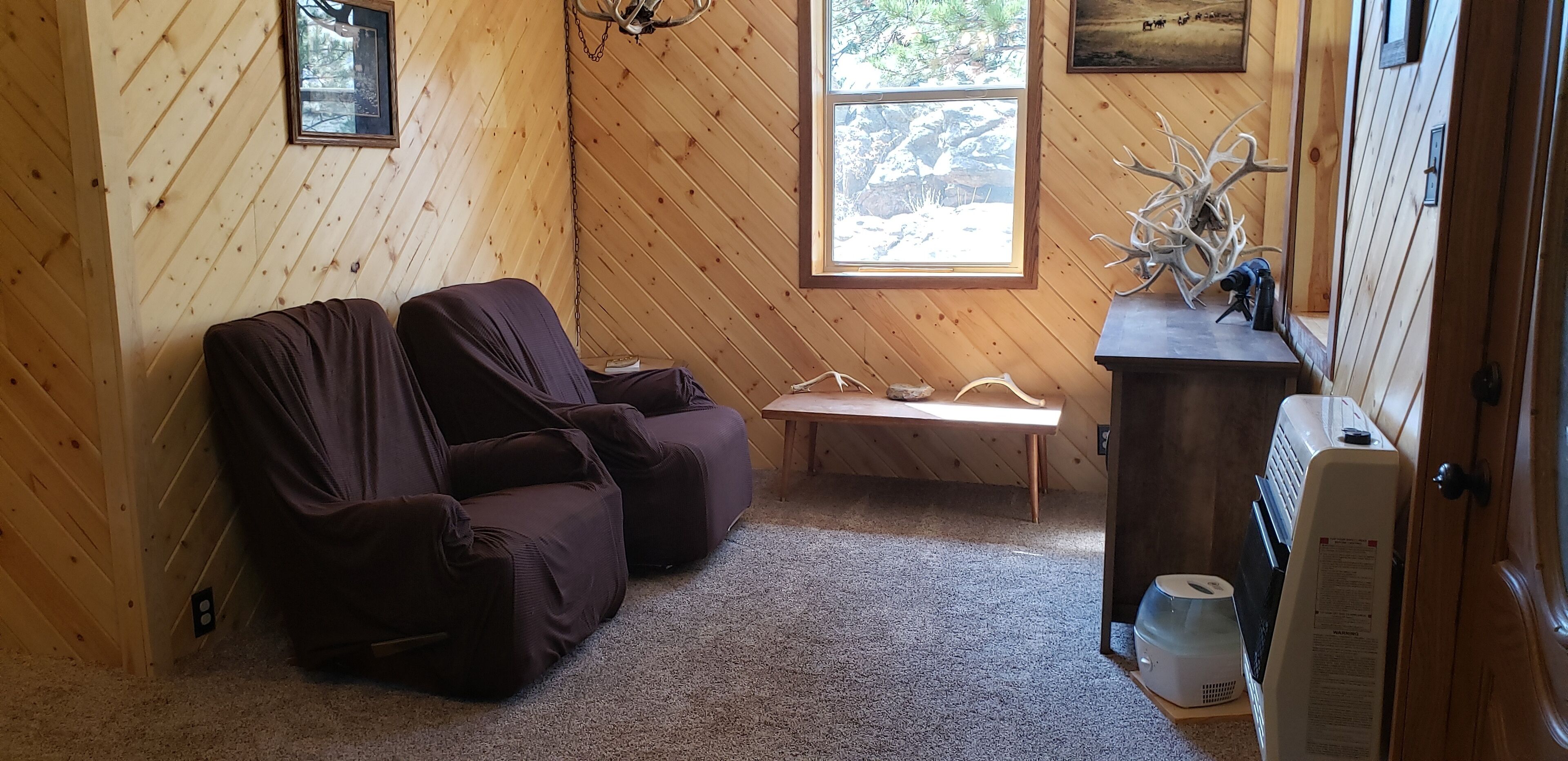 電視、DVD 播放機