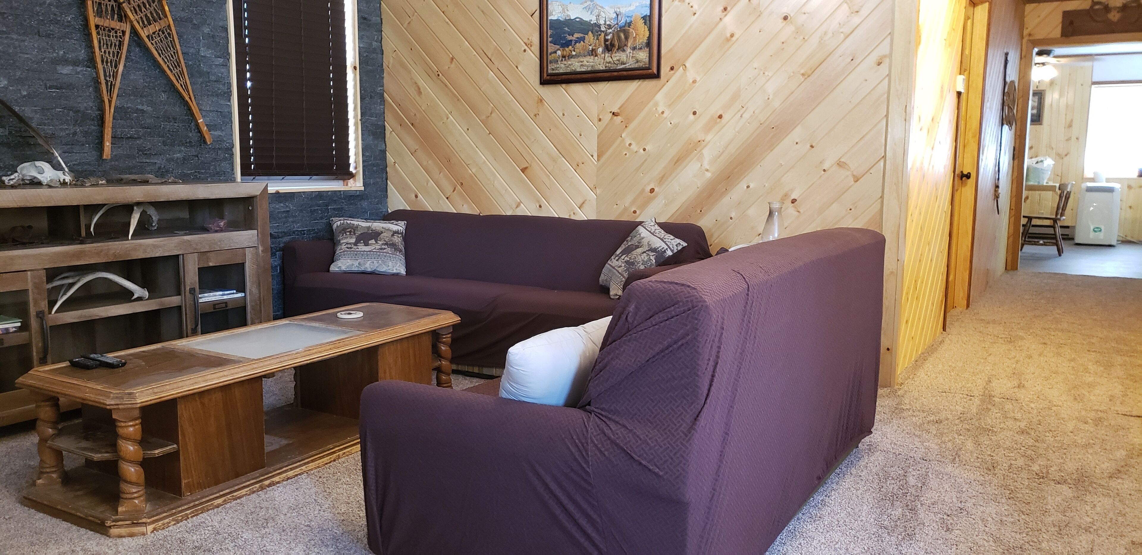 電視、DVD 播放機