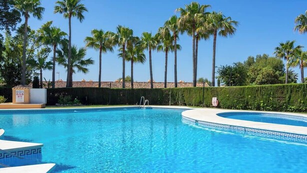 Une piscine à l’eau d’un bleu cristallin, entourée de palmiers et d’une haie.