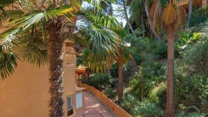Un sentier bordé d’une végétation luxuriante et de palmiers, qui mène à un bâtiment à la façade jaune.