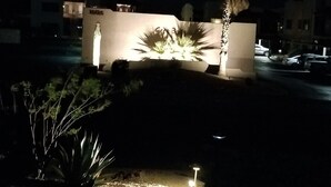 Vista nocturna d'un edifici modern amb una entrada ben il·luminada i una palmera al primer pla.