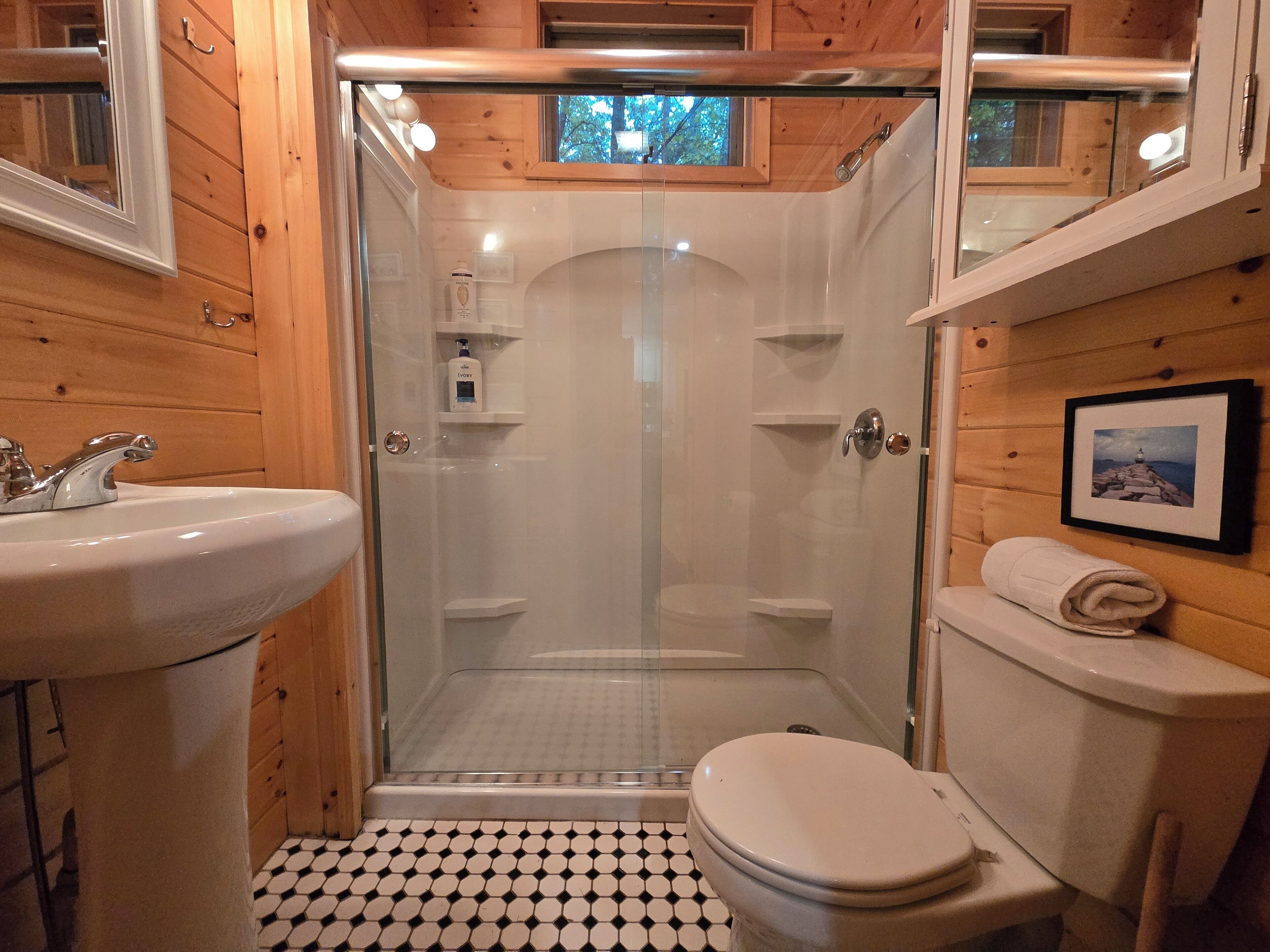 Een badkamer met een douche met glazen wand, toilet en wastafel.
