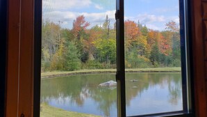 Une fenêtre donnant sur un étang bordé d’arbres aux couleurs automnales.