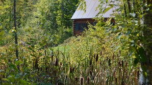 Une cabane entourée d’une forêt dense et d’herbes hautes.