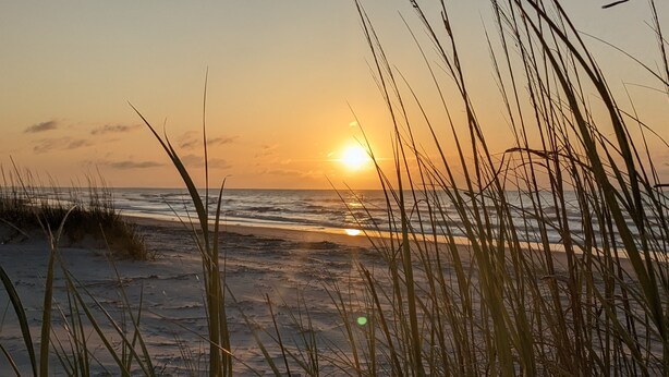 Escena de playa con pastos altos al frente y el sol poniéndose sobre el océano.